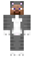 Computer minecraft skin