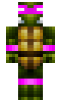 Solve minecraft skin