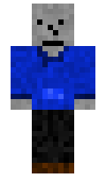 15243 minecraft skin