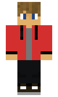 AwesomeWR minecraft skin