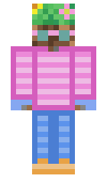 27de6b9de00691 minecraft skin