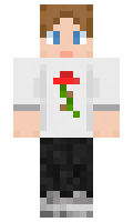 PAXU minecraft skin