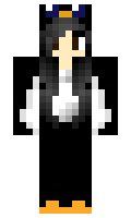 seaks minecraft skin