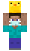 27ff942880706d minecraft skin