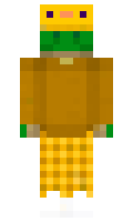 2819d530672d98 minecraft skin