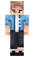 Grafisch minecraft skin