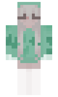 28351169c11236 minecraft skin