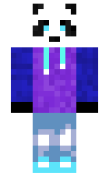 Histar minecraft skin