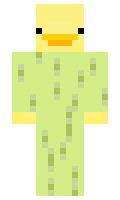 285e7a89f72b2e minecraft skin