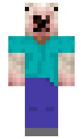 28a2168b61ddc7 minecraft skin