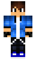 radapedaxa minecraft skin