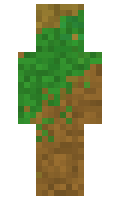 Mudgettyrite56 minecraft skin