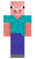 28cec9de144ff1 minecraft skin