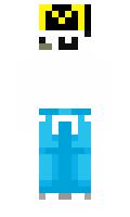 290353d413f618 minecraft skin