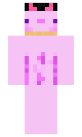 MisterRagTag minecraft skin