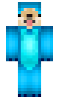 tenthround minecraft skin