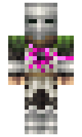 VPickle0202 minecraft skin