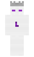 2545 minecraft skin