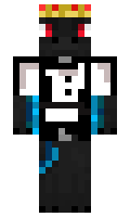 ChaosNightWing minecraft skin