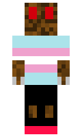 2972aa18c90569 minecraft skin