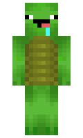 HitchedRoom3122 minecraft skin