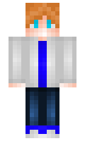 mist12zet minecraft skin