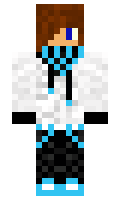 ser1234 minecraft skin