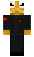 29d63597f71034 minecraft skin