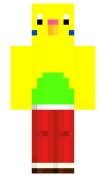 29d797a12cc564 minecraft skin