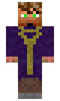 minerguy341 minecraft skin