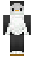 Quiquerg minecraft skin