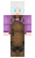 29e9721d075947 minecraft skin