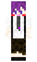 DarkLightEin minecraft skin