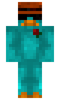 29ed4763dc653b minecraft skin