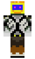 Hennasjunior minecraft skin