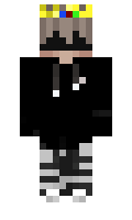 pettagriffin minecraft skin