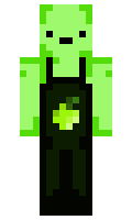 stopage minecraft skin