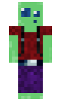 romke minecraft skin