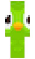 2a795b503a25a2 minecraft skin