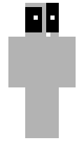 BIN0480 minecraft skin