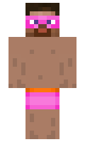 stega minecraft skin