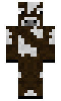 2aa84bce14f40f minecraft skin