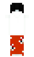 2abac6e8804983 minecraft skin