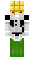 Tucson minecraft skin