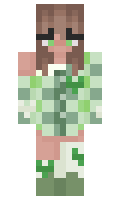 2acd362272055a minecraft skin