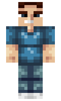 Tingusbangus minecraft skin