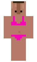 brisden minecraft skin