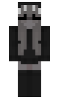 8735 minecraft skin