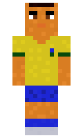 Wingie minecraft skin