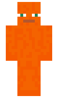 FriedOrange79 minecraft skin